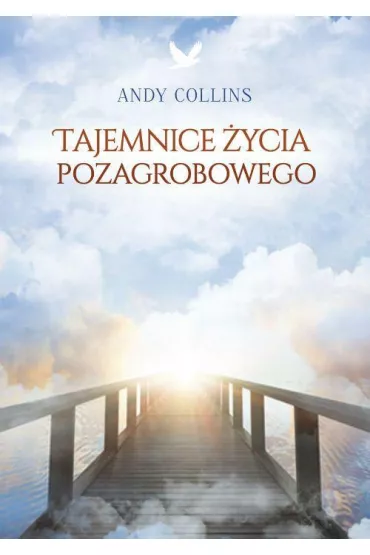Tajemnice �ycia pozagrobowego - Andy Collins