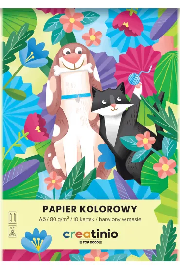 Top-2000 Papier kolorowy Creatinio A5 10 kartek