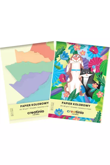 Top-2000 Papier kolorowy Creatinio A5 10 kartek