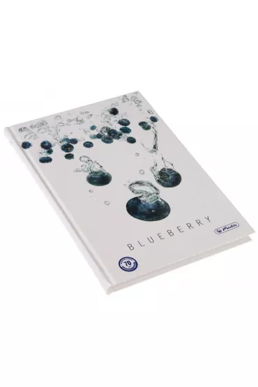 Herlitz Zeszyt A5 Fruits kratka 96 kartek