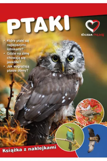 Ptaki. Ekoprzewodnik m�odego odkrywcy - Pawe� Zalewski