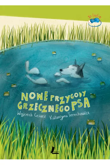 Nowe przygody grzecznego psa