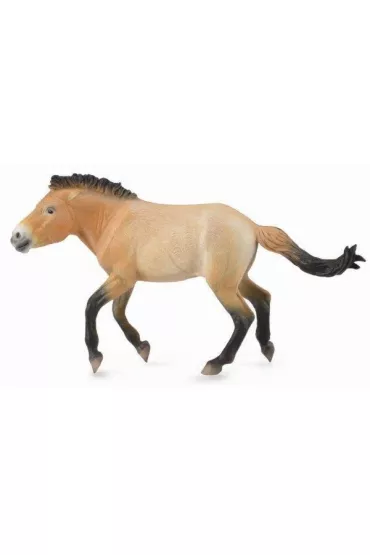 Ogier przewalski