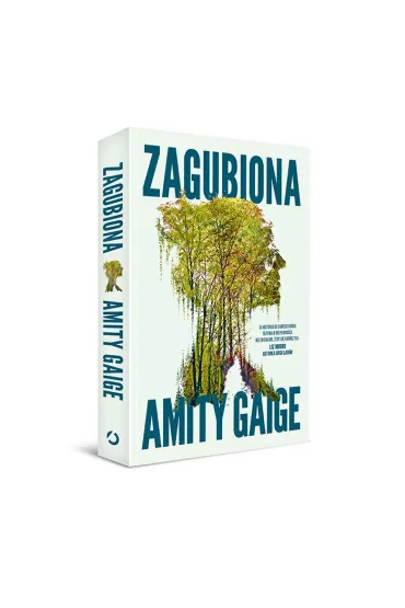 Zagubiona - Amity Gaige
