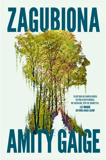 Zagubiona - Amity Gaige
