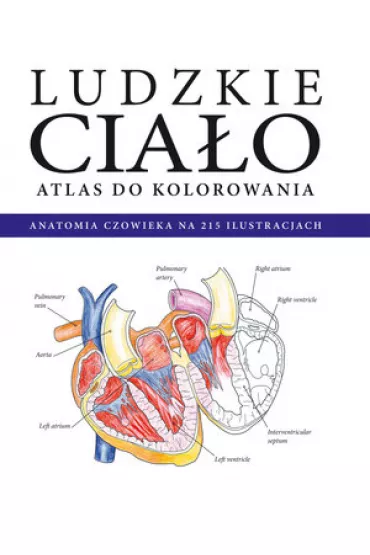 Ludzkie cia�o. Atlas do kolorowania