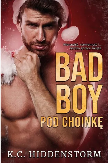 Bad Boy pod choink� - K. C. Hiddenstorm