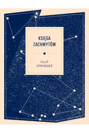 Ksi�ga zachwyt�w - Filip Springer