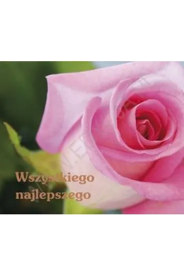 Wszystkiego najlepszego. Pere�ka