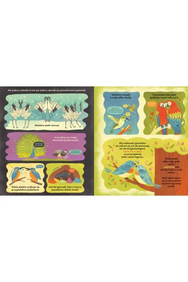 Co si� kryje w gnie�dzie? Fascynuj�ce ciekawostki o ptakach - Rachel  Ignotofsky