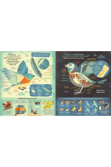 Co si� kryje w gnie�dzie? Fascynuj�ce ciekawostki o ptakach - Rachel  Ignotofsky