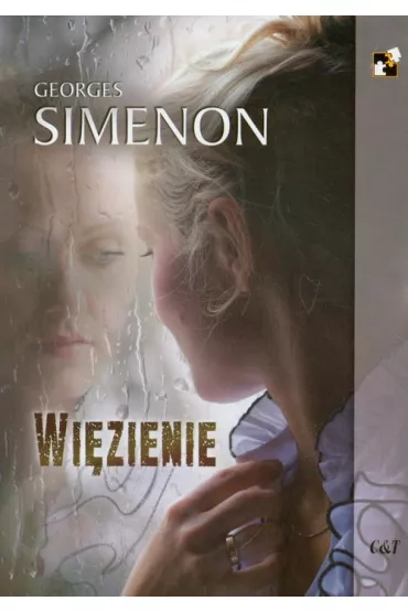 Wi�zienie - Georges Simenon