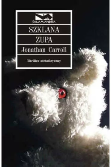 Szklana zupa - Jonathan Carroll