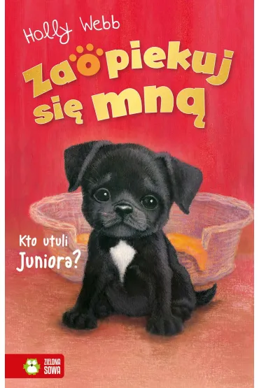 Kto utuli Juniora? Zaopiekuj si� mn� - Holly Webb
