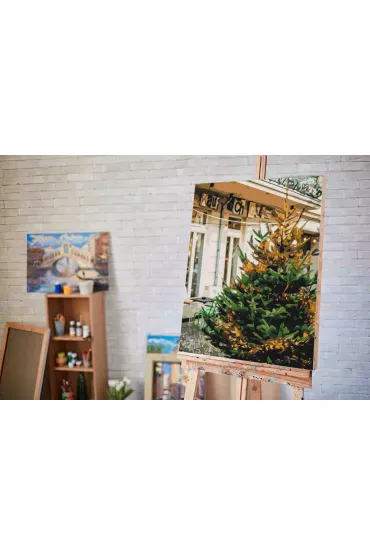 Twoje Hobby Malowanie po numerach - Przed�wi�teczna pi�kno�� 40x50cm
