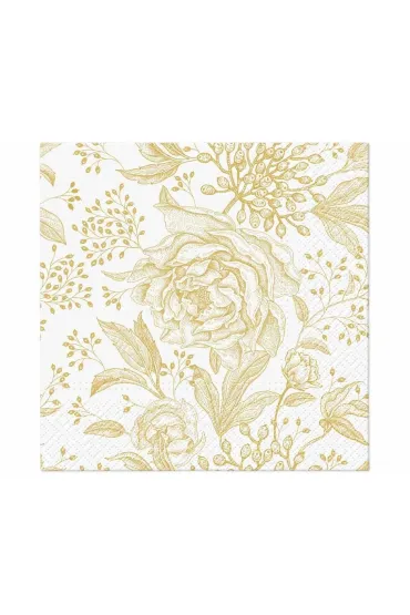 Paw Serwetki papierowe r�ane reonie, 33x33cm 20 szt.