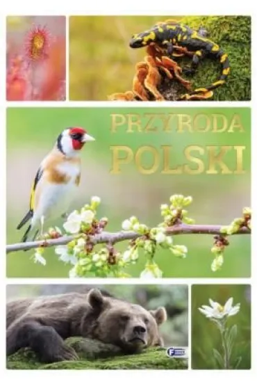 Przyroda Polski