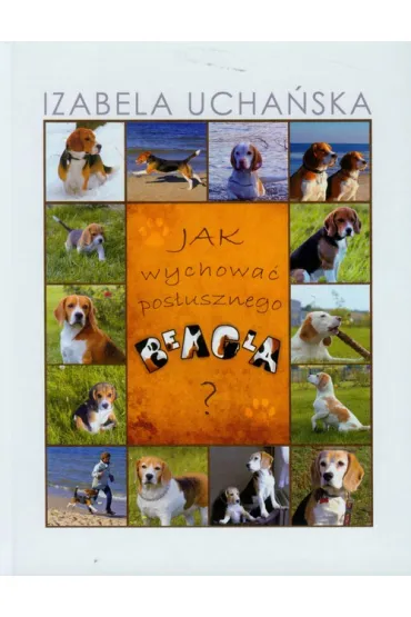 Jak wychowa� pos�usznego beagla - Izabela Ucha�ska