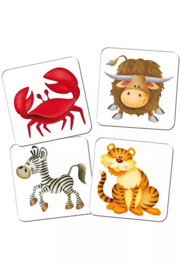 Kuferek pe�en gier. Memory Zoo Adamigo
