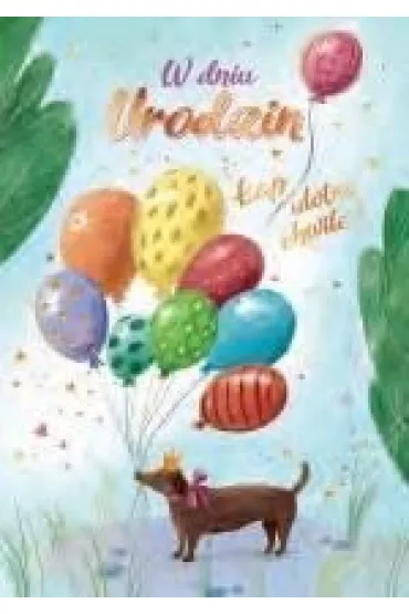 AbCard Kartka okoliczno�ciowa Urodziny
