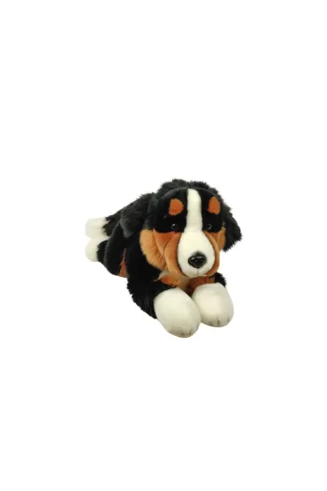 Pies Berne�ski 30cm Dubi