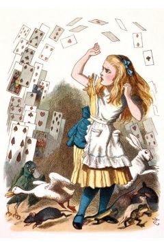 Karnet B6 z kopert Alice and the Shower of Cards