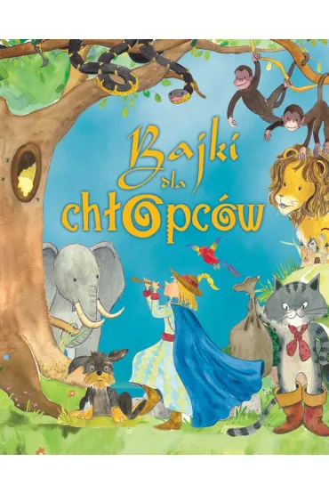 Bajki dla ch�opc�w - Joanna Gaca 