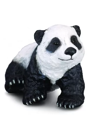 Nied�wiadek pandy wielkiej siedz�cy