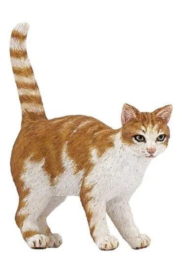 Kot rudy
