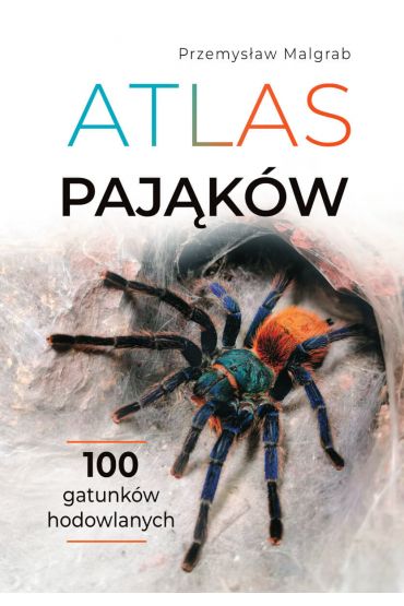 Atlas pająków