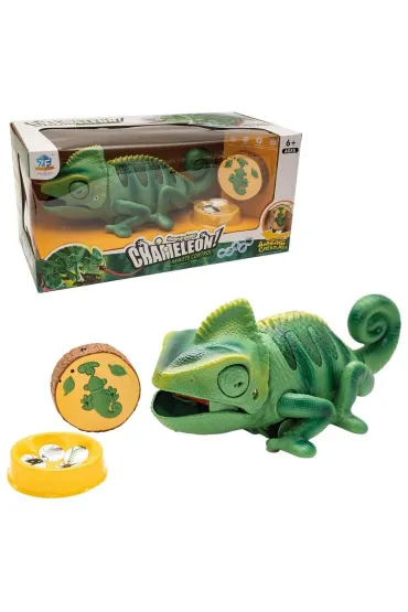 Kameleon R/C Askato