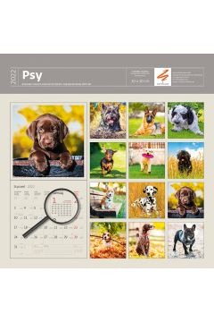 Sztuka Rodzinna Kalendarz 2022 30x30 Psy z naklejkami LP52-22