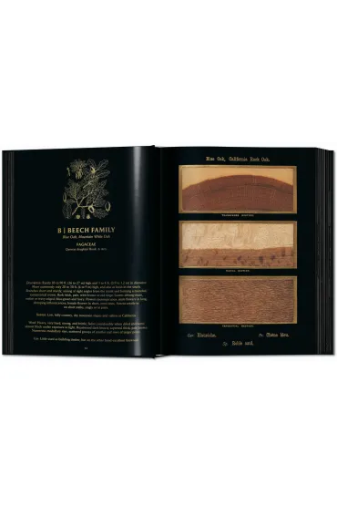 Romeyn B. Hough. The Woodbook. The Complete Plates - Klaus Ulrich Leistikow