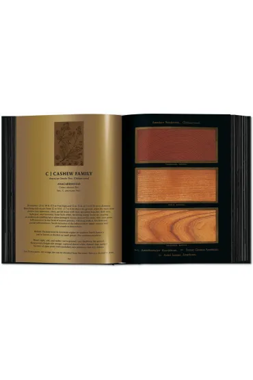 Romeyn B. Hough. The Woodbook. The Complete Plates - Klaus Ulrich Leistikow