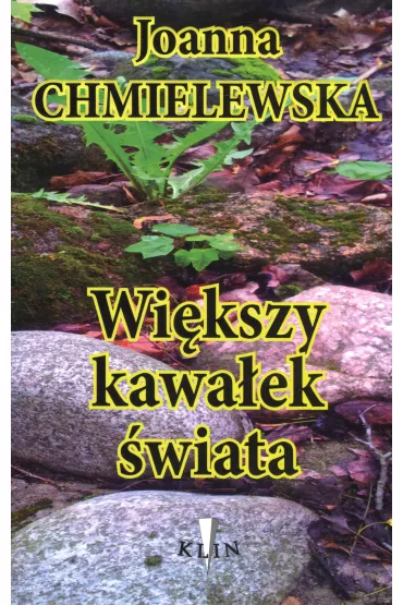 Wi�kszy kawa�ek �wiata - Joanna Chmielewska