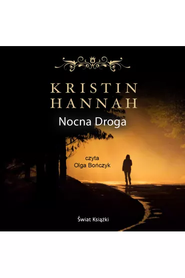 Audiobook Nocna droga mp3 - Kristin Hannah