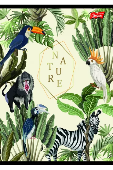 St. Majewski Zeszyt A5 Nature kratka 60 kartek