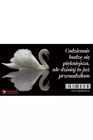 Bogulandia Magnes na lod�wk� - Codziennie budz� si� pi�kniejsza?