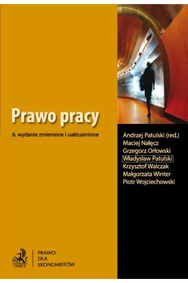 eBook Prawo pracy pdf - Andrzej Patulski, Grzegorz Or�owski, Krzysztof Walczak, Maciej Na��cz, W�adys�aw Patulski, Ma�gorzata Winter