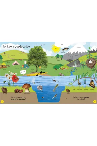 1000 Useful Words. Build Vocabulary and Literacy Skills wer. angielska