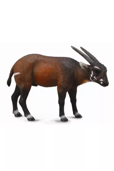 Collecta Kozica Saola