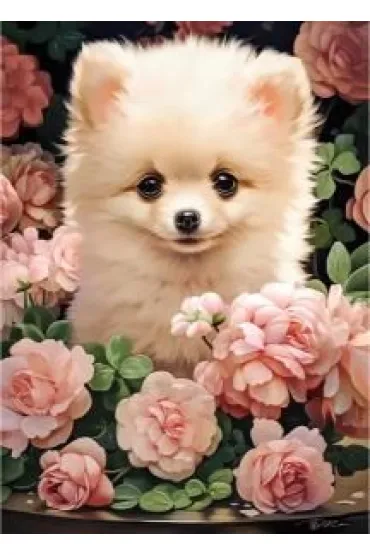 Puzzle 60 el. Pomeranian Puppy in Roses Castorland