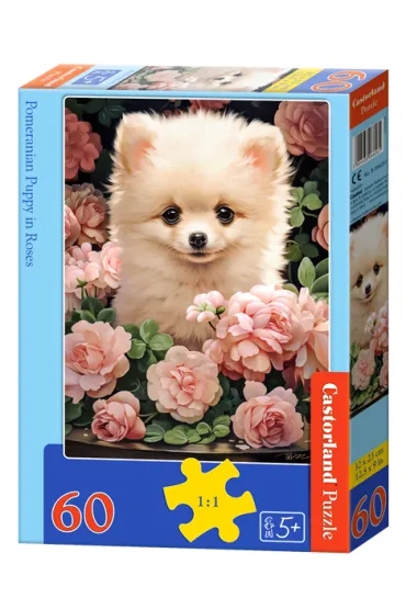 Puzzle 60 el. Pomeranian Puppy in Roses Castorland
