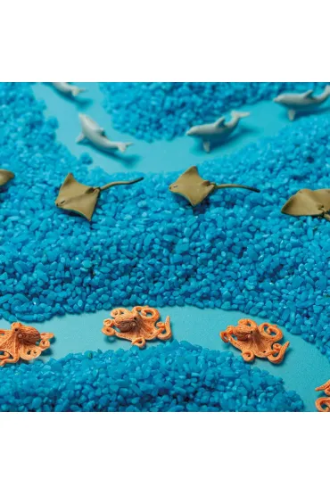 Petit Boum Butelka obserwacyjna - Ocean