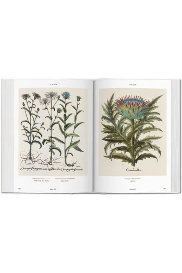 Basilius Besler. Florilegium. The Book of Plants wer. angielska - Walter  Klaus Littger