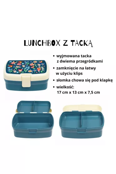 b.box Zestaw �niadaniowy lunchbox i bidon Wr�ki