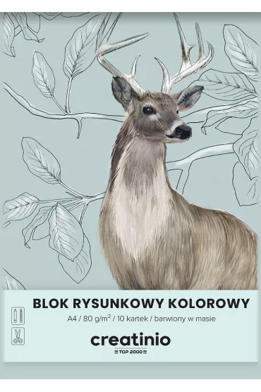 Top-2000 Blok rysunkowy Creatinio A4 kolorowy 10 kartek
