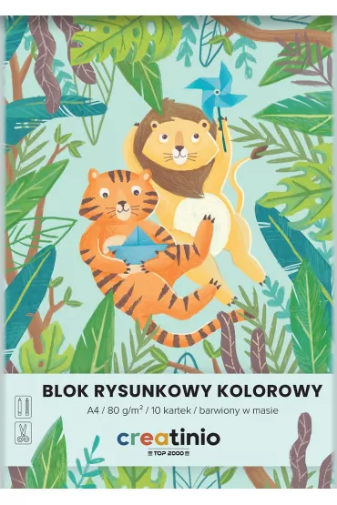 Top-2000 Blok rysunkowy Creatinio A4 kolorowy 10 kartek