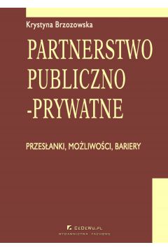 eBook Partnerstwo publiczno-prywatne. Przesanki, moliwoci, bariery. Rozdzia 6. Uwarunkowania polityczne i spoeczne rozwoju partnerstwa publiczno-prywatnego pdf