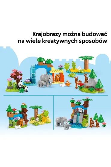 LEGO DUPLO Town Rodziny dzikich zwierz�t 3 w 1 10446